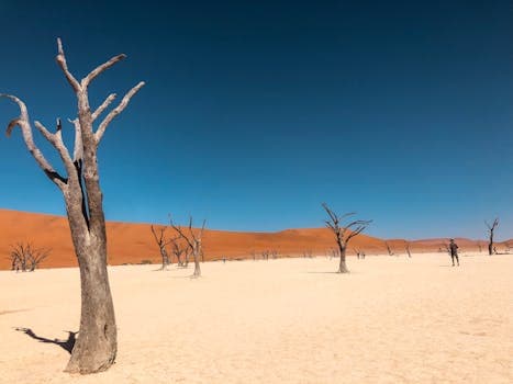Will drought increase acute malnutrition in next quarter?