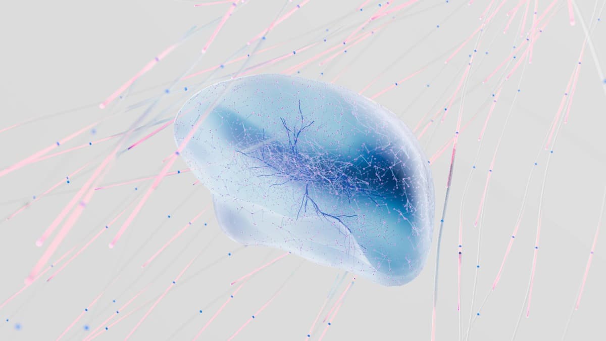ML Analytics Visualization